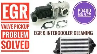 [English] S-CROSS| EGR- Exhaust Gas Recirculation valve cleaning and explanation for Diesel engines.