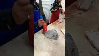 Quick Easy Way to Fish Cutting Porgy