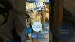 Dog Behavior: Predictable Actions for Safe Interactions