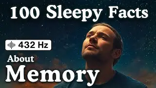 Simple Memory Facts That Gently Guide You Into Restful Sleep | Stories For Sleep