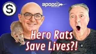 These Rats Are Saving Thousands Of Lives And Here's How