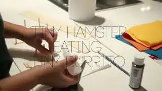 Tiny Hamster Eating Tiny Burrito