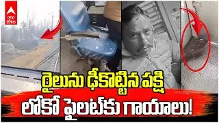 Bird Strikes Train Mirror Loco Pilot Injured | ఎక్స్&zwnj;ప్రెస్ రైలును ఢీకొట్టిన భారీ పక్షి | ABP Desam