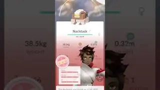 I evolve 💯 IV nacli into naclstack | #pokemon #pokemon go