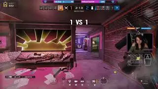 4K Sledge on Coastline