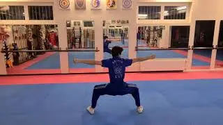 Wushutraining 7 - 1 Langfaust