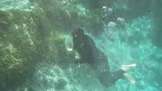 Manatee Tour  -- Crystal Springs Florida - Plantation Adventure Center