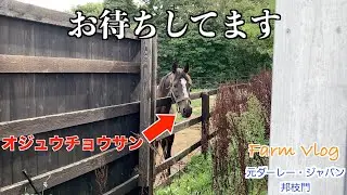 【オジュウチョウサン】お待ちしてます！？55選
