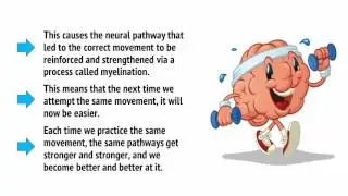 How the Kettlebell Can Train Your Brain