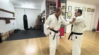 Traditional Shorin Ryu Karate & Combat Principles