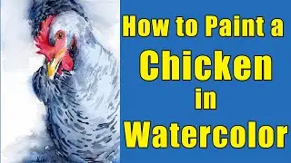 Painting a Chicken - Watercolor Tutorial for Beginners