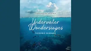 Underwater Wonderscapes