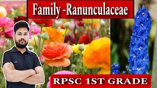 FAMILY - RANUNCULACEAE ll BUTTER CUP ll  DELPHINIUM ll RPSC 1ST GRADE BIOLOGY by skdigrawal