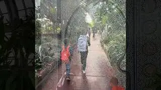 Growing in the Right Environment | Garfield Conservatory