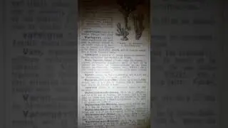 V 2 Var&egrave;gue ,varangue,varangiens,targhis,magyar,riourikide,celtjoukide,empire bey franc