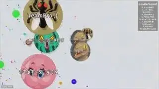 Doing a Glitched Popsplit in Live Stream! | Agar.io Best Moments in Live Stream