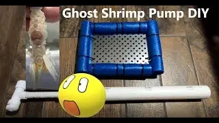 Ghost Shrimp Pump DIY