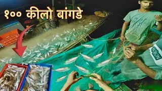 Mackerel fishing in deep sea || bangda fishing || @bablusolkar