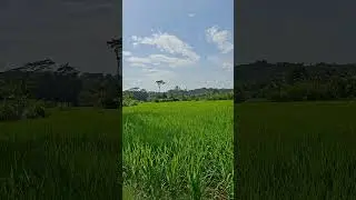 nyamanya tinggal di desa,jalan jalan di desa,perkampungan indah.