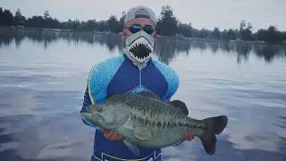 Bassmaster Fishing 2022 Lake Hamilton legendary Sel !!!