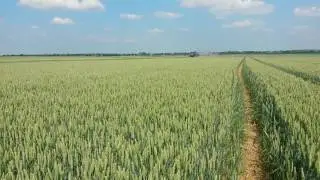 Essai du pulv&eacute;risateur Horsch leeb LT 36 m&egrave;tres. Tract&eacute; par un New Holland teinte Maserati.