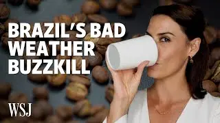 Why Brazil&rsquo;s Freezing Weather Is Forcing a Coffee Price Hike
