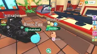 Roblox Adopt Me Chompy and Pets In Camping