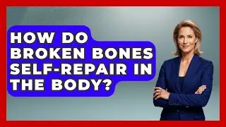 How Do Broken Bones Self-repair In The Body? - All About Anatomy Answers