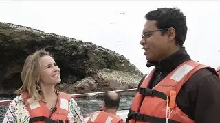 Peru: Pisco + Leões-marinhos - HOJE TEM  (13/10/16)
