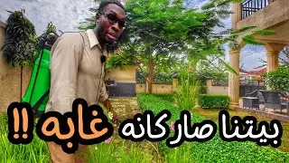 موسم الامطار في نيجيريا حلقت الحشائش ورتبت الحوش