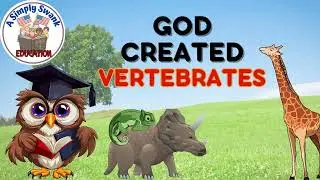 GOD CREATED VERTEBRATES | CHRISTIAN SCIENCE | BACKBONE, GENESIS & CREATION, FREE PDF WORKSHEET