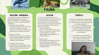 Regi&oacute;n Pacifica