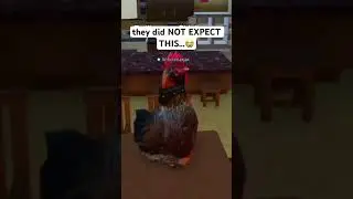 they did NOT EXPECT THIS&hellip;😭 trolling as a chicken on Roblox