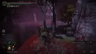 ELDEN RING | BLOOD TAINTED EXCREMENT LOCATION PATCH 1.09: CRAFT SWARM POTS!