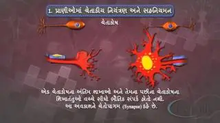 earth edutech