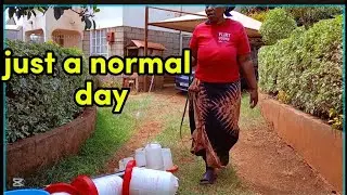 A day in the life of an African woman/ washing chicken 🐔 🐔 drinkers, hanging curtains, making dinner