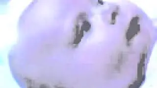 robertsavage@live.com