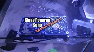 Update Reef Tank hari 30 : pasang kipas dan ATO ( Auto Top Off ) Mesin