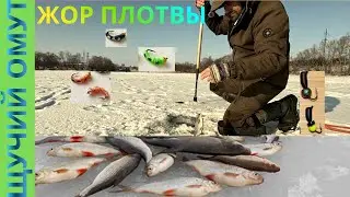 Зимняя плотва на Кременчугском водохранилище на безмотылку Светловодск