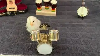 The BocknRoll Band at Practice