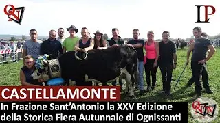 CASTELLAMONTE - In Frazione Sant'Antonio la 25 Edizione della Storica Fiera Autunnale di Ognissanti