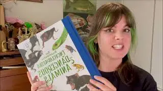 Book Chat with Sami Bayley