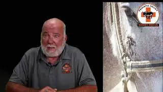An Introduction to the Peaceful Valley Donkey Rescue