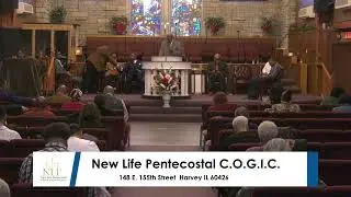 Live with NLPCOGIC