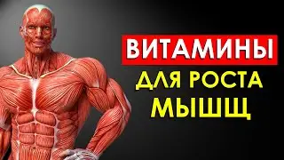 15 Витаминов Которые Ускоряют Рост Мышц (Важно Знать)