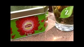 Lipton Cytrus zielona herbata - TEST herbaty