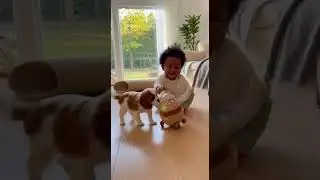 Baby and Puppy Explore a New Toy #BabyAndPuppy #NaturalSound #WideShot #HighResolution #AmbientAudio