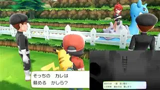 8話 ポケットモンスター LEGENDS ピカチュウ【ポケットモンスター Let's Go! ピカチュウ実況】