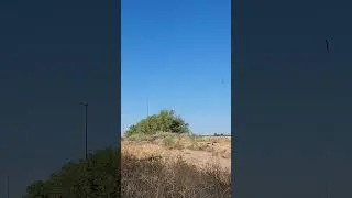 Mojo Dove Hunt ( STRIKE )