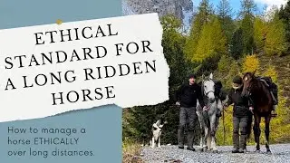 The ethical standard for a long ridden horse.